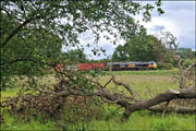 66741 at Hatton